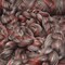 Merino Silk Luxe Tonal Designer Blend. Superfine Merino, Mulberry Silk, Tussah Silk. Top Roving for Spinning or Felting.